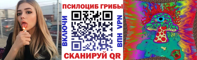 Галлюциногенные грибы MAGIC MUSHROOMS  продажа наркотиков  Ельня 