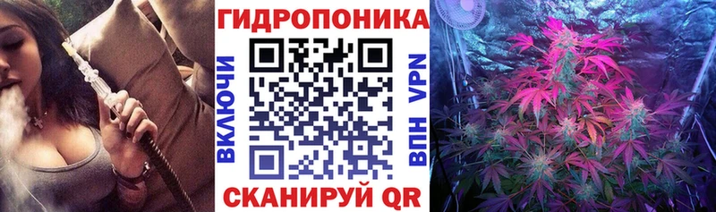 Бошки марихуана гибрид  Ельня 